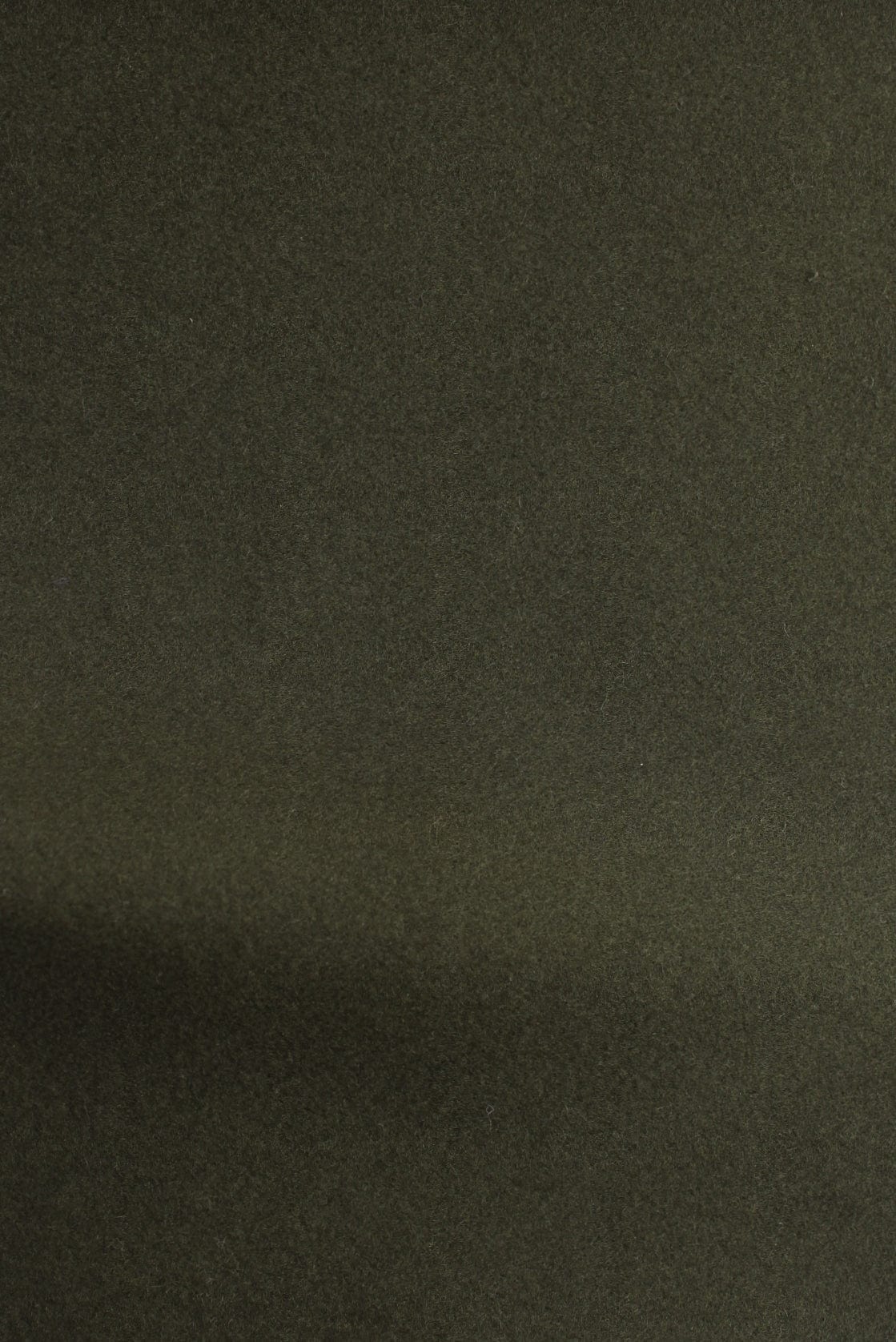 Moleskin Shorts - Image 6